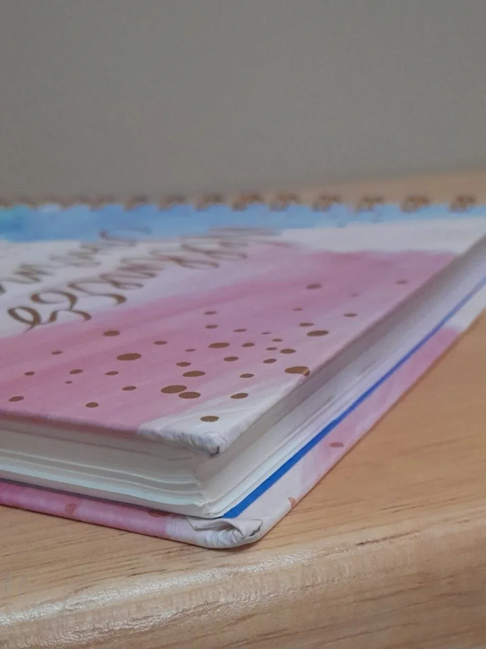 Wellness Journal by Clementine Paper Inc